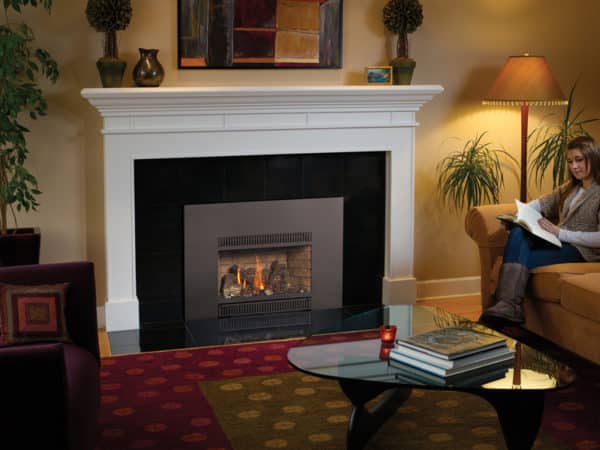 fireplace insert asheville Asheville, NC Fireplace Store f 31dvi | Clean Sweep The Fireplace Shop